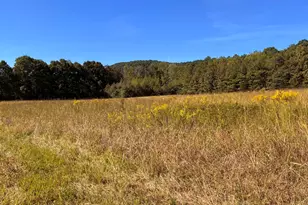 36 55 Acres Back Valley Rd, Lyerly, GA 30730 - Photo 1