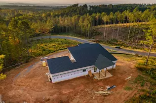 2385 Springfield Pkwy, Ellijay, GA 30540 - Photo 6