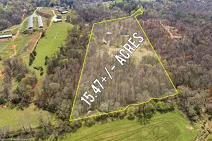401 Herrin Rd, Cornelia, GA 30531 - Photo 76