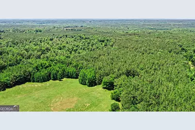 0 Courtground Road #A, Washington, GA 30673 - Photo 6