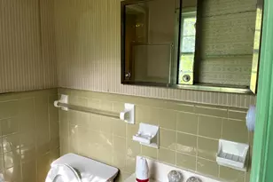 222 Old Ailey Lothair Rd, Mount Vernon, GA 30445 - Photo 22