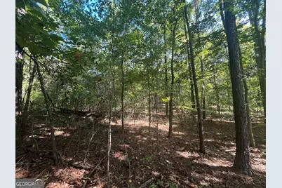 0 Mays Bridge Road, Rome, GA 30165 - Photo 14