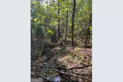 0 Mays Bridge Road, Rome, GA 30165 - Photo 20