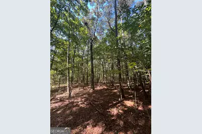 0 Mays Bridge Road, Rome, GA 30165 - Photo 12