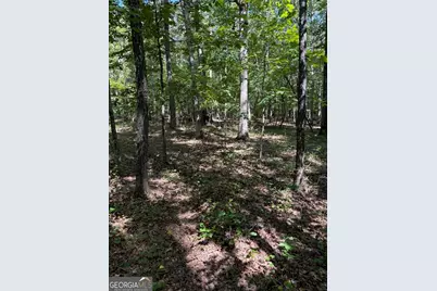 0 Mays Bridge Road, Rome, GA 30165 - Photo 4
