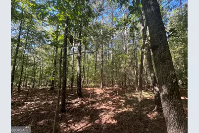 0 Mays Bridge Road, Rome, GA 30165 - Photo 16