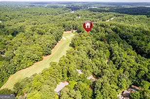 1041 Lockets Trail, Greensboro, GA 30642 - Photo 86