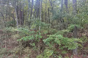 00 Carver Mill Rd, Talking Rock, GA 30175 - Photo 1