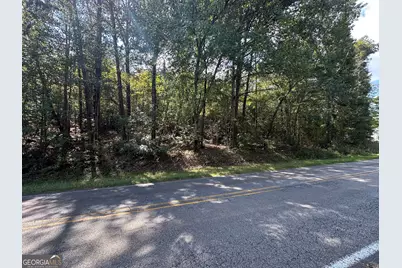 00 Carver Mill Road, Talking Rock, GA 30175 - Photo 4