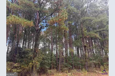 Lot 4 &amp; 5 Limestone Landing, Cochran, GA 31014 - Photo 1