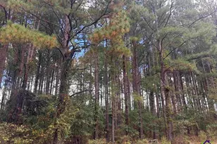 Lot 4 &amp 5 Limestone Landing, Cochran, GA 31014 - Photo 1