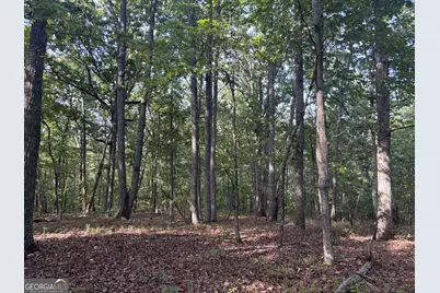 0 Killarney Way, Kingston, GA 30145 - Photo 2