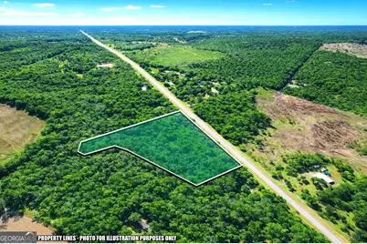 0 Hwy 168, Nashville, GA 31369 - Photo 4