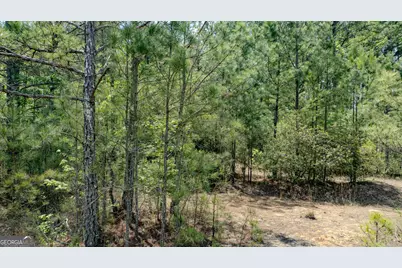 201 Bullsboro Drive, Newnan, GA 30263 - Photo 20