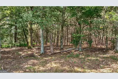 000 Middlebrooks Road, Watkinsville, GA 30677 - Photo 6