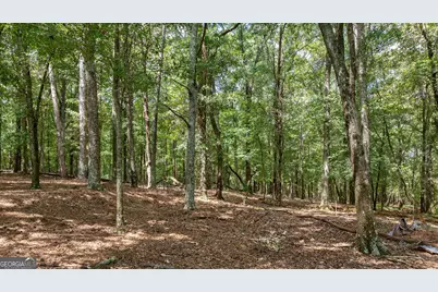 0 Middlebrooks Road, Watkinsville, GA 30677 - Photo 1