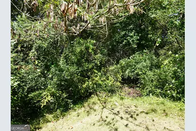 4.99 Acres Tye St, Stockbridge, GA 30281 - Photo 10