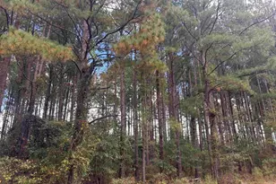 Lot 5 &amp 6 Limestone Landing, Cochran, GA 31014 - Photo 1