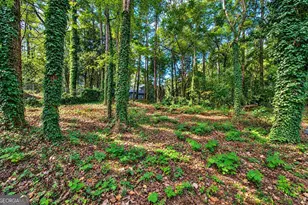 2965 Brookridge Ct, Marietta, GA 30066 - Photo 42