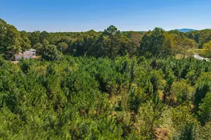 0 Wallace Tatum Rd, Cumming, GA 30028 - Photo 8