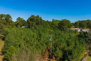 0 Wallace Tatum Rd, Cumming, GA 30028 - Photo 20