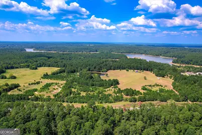 2207 McCormick Highway, Lincolnton, GA 30817 - Photo 12