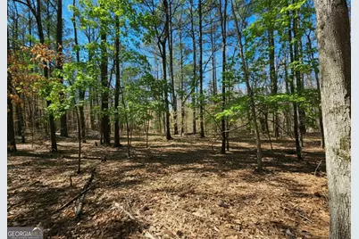 0 River Shoals Ct, Covington, GA 30016 - Photo 6