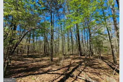 0 River Shoals Ct, Covington, GA 30016 - Photo 4