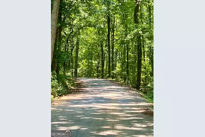 0 Old White Oak Cemetery Road, Dallas, GA 30157 - Photo 2