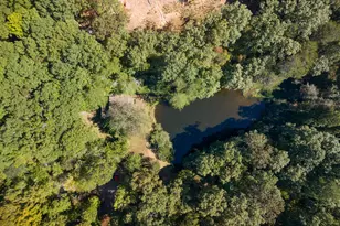 427 Cross Creek Rd, Mineral Bluff, GA 30559 - Photo 10