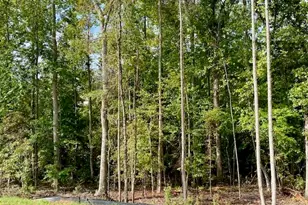 Lot 171 Snug Harbor Pl, Newnan, GA 30263 - Photo 6