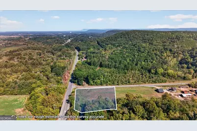0 Hwy 411 #2.0AC, Fairmount, GA 30139 - Photo 10