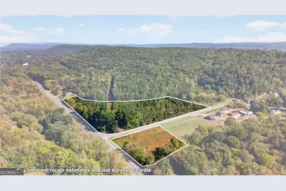 0 Hwy 411 #2.0AC, Fairmount, GA 30139 - Photo 6