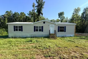 25040 Hwy 80 W, Portal, GA 30450 - Photo 1