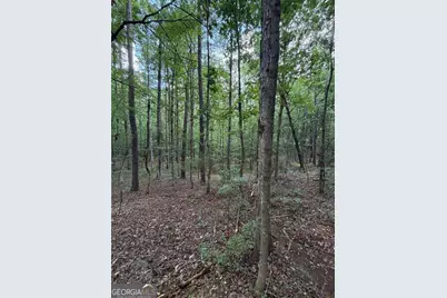 000 Serenity, Cataula, GA 31808 - Photo 6