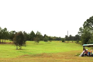 231 Canady Bridge Rd, Twin City, GA 30471 - Photo 20