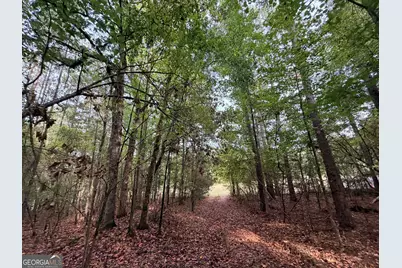 4043 Silas Mercer Lane, Crawfordville, GA 30631 - Photo 28