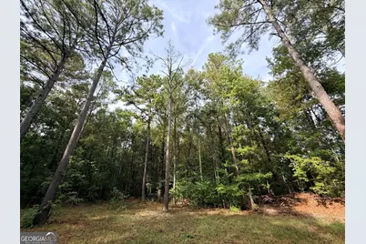 4043 Silas Mercer Lane, Crawfordville, GA 30631 - Photo 6