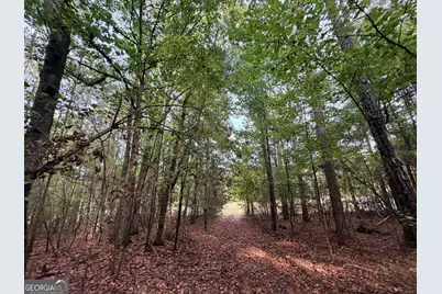 4043 Silas Mercer Lane, Crawfordville, GA 30631 - Photo 34