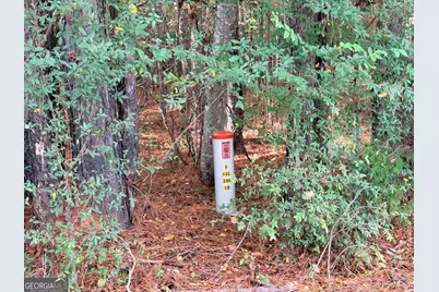 4043 Silas Mercer Lane, Crawfordville, GA 30631 - Photo 8