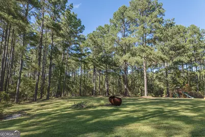 1412 Godbee Road, Millen, GA 30442 - Photo 62