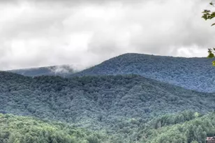 428 Tall Timber Mountain Rd, Cherrylog, GA 30522 - Photo 14