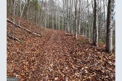4.01 Acres Park Hill Avenue, Blairsville, GA 30512 - Photo 4