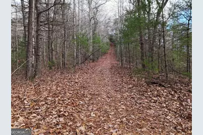 4.01 Acres Park Hill Avenue, Blairsville, GA 30512 - Photo 8