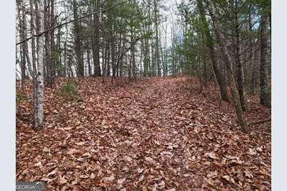 4.01 Acres Park Hill Avenue, Blairsville, GA 30512 - Photo 10