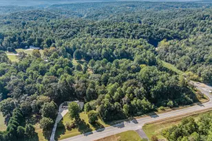 296 Hwy 115, Demorest, GA 30535 - Photo 10