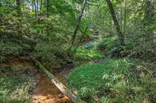 296 Hwy 115, Demorest, GA 30535 - Photo 56