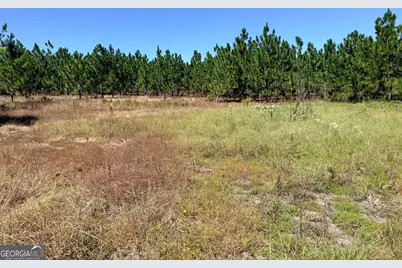 0 Altamaha Rd, Hazlehurst, GA 31539 - Photo 4