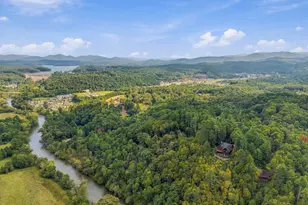 517 Ridge Rd, Blue Ridge, GA 30513 - Photo 38