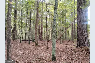 3000 White Pine Lane, Mansfield, GA 30055 - Photo 26